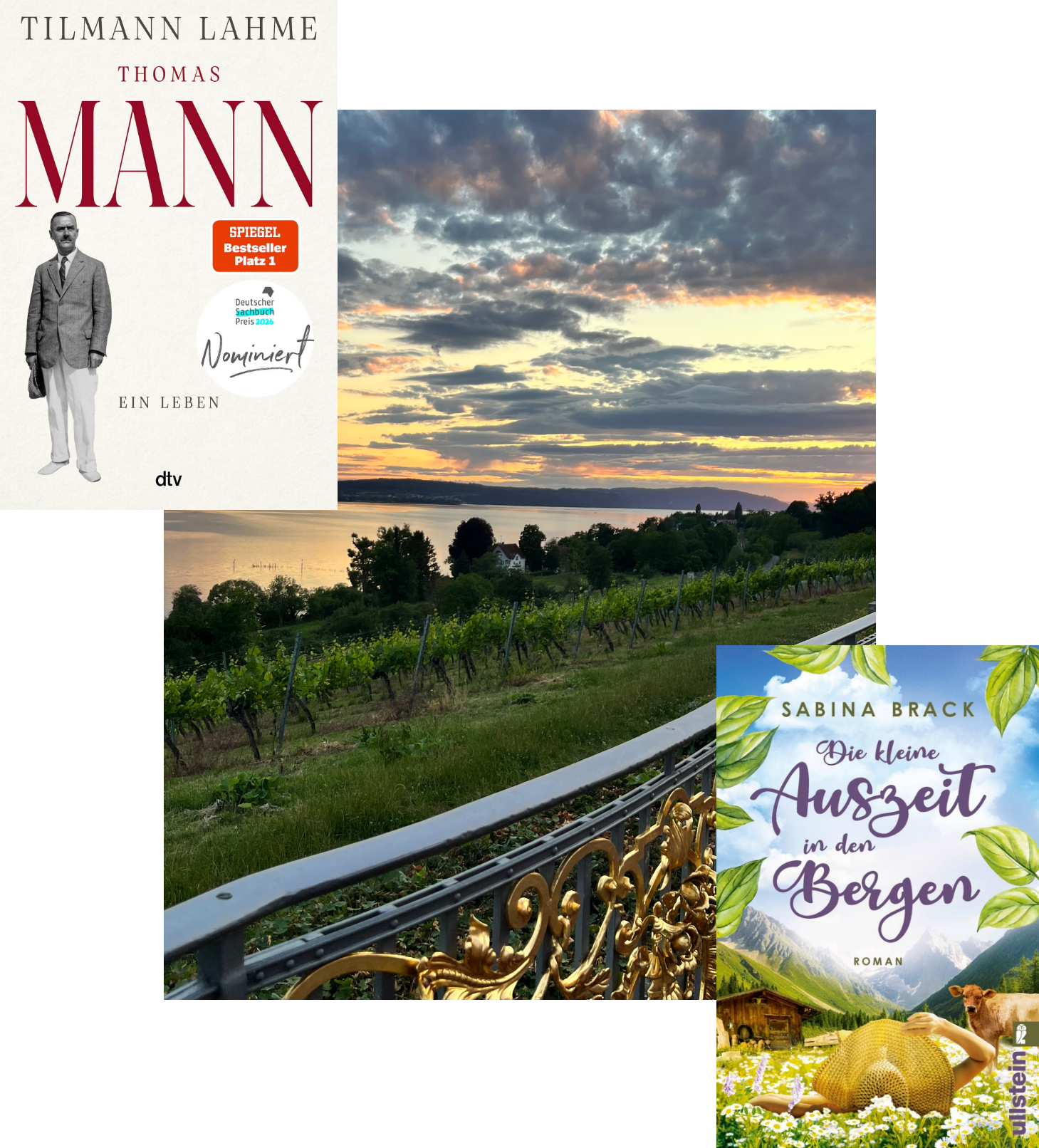 Lesemonat Mai 2026_Thomas Mann_Die kleine Auszeit in den Bergen
