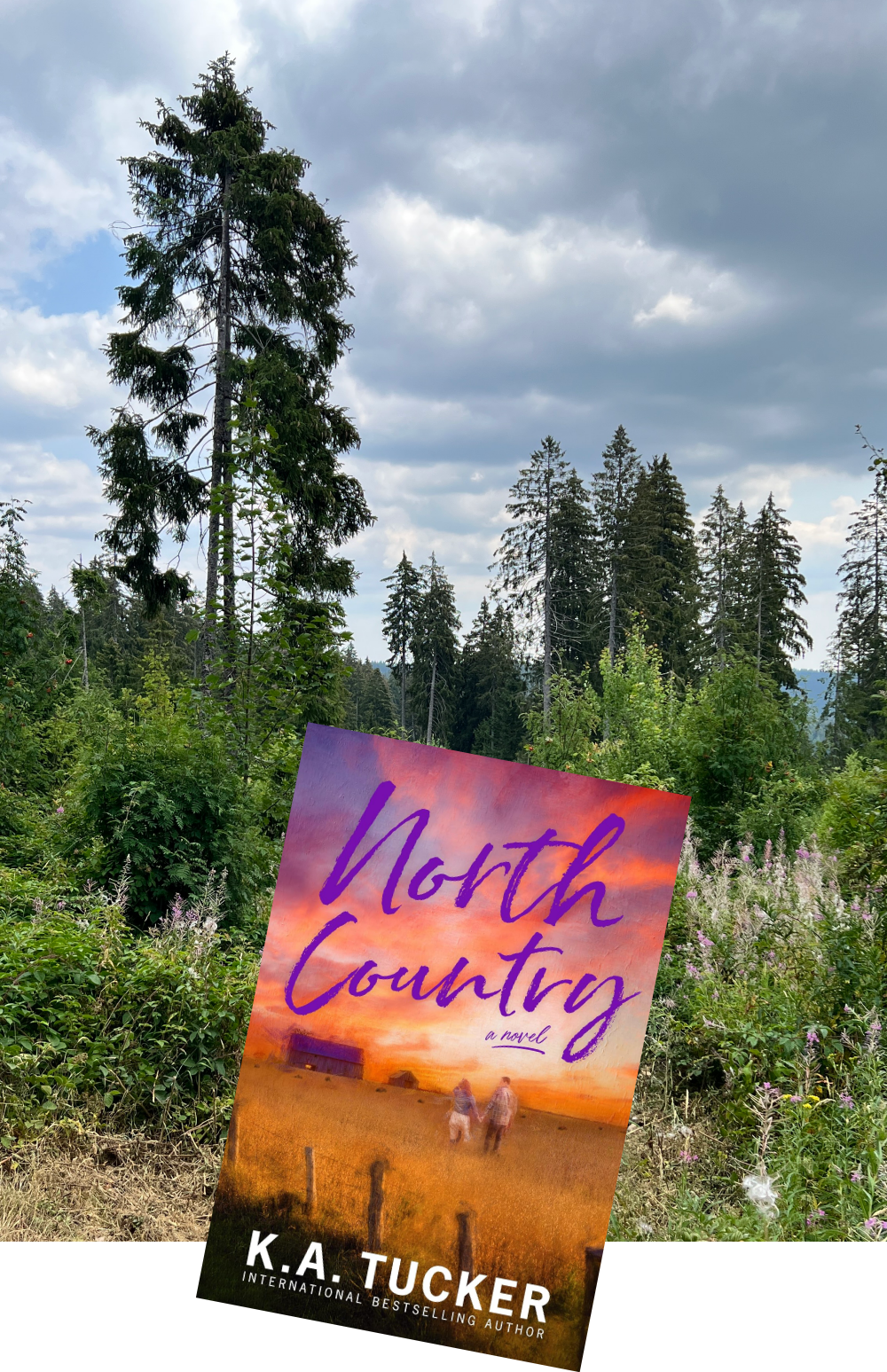 Lesemonat Juli 2026_North Country_KA Tucker_Rezension