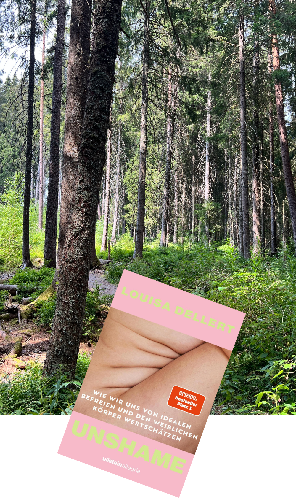 Lesemonat Juli 2026_Unshame_Louisa Dellert