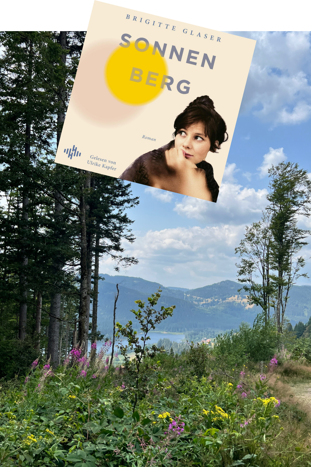 Sonnenberg von Brigitte Glaser Rezension