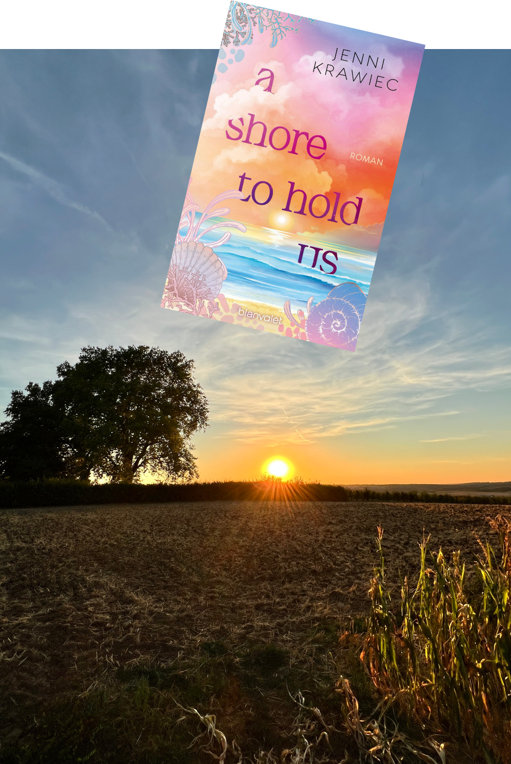 a shore to hold us_Jenni Krawiec_Rezension