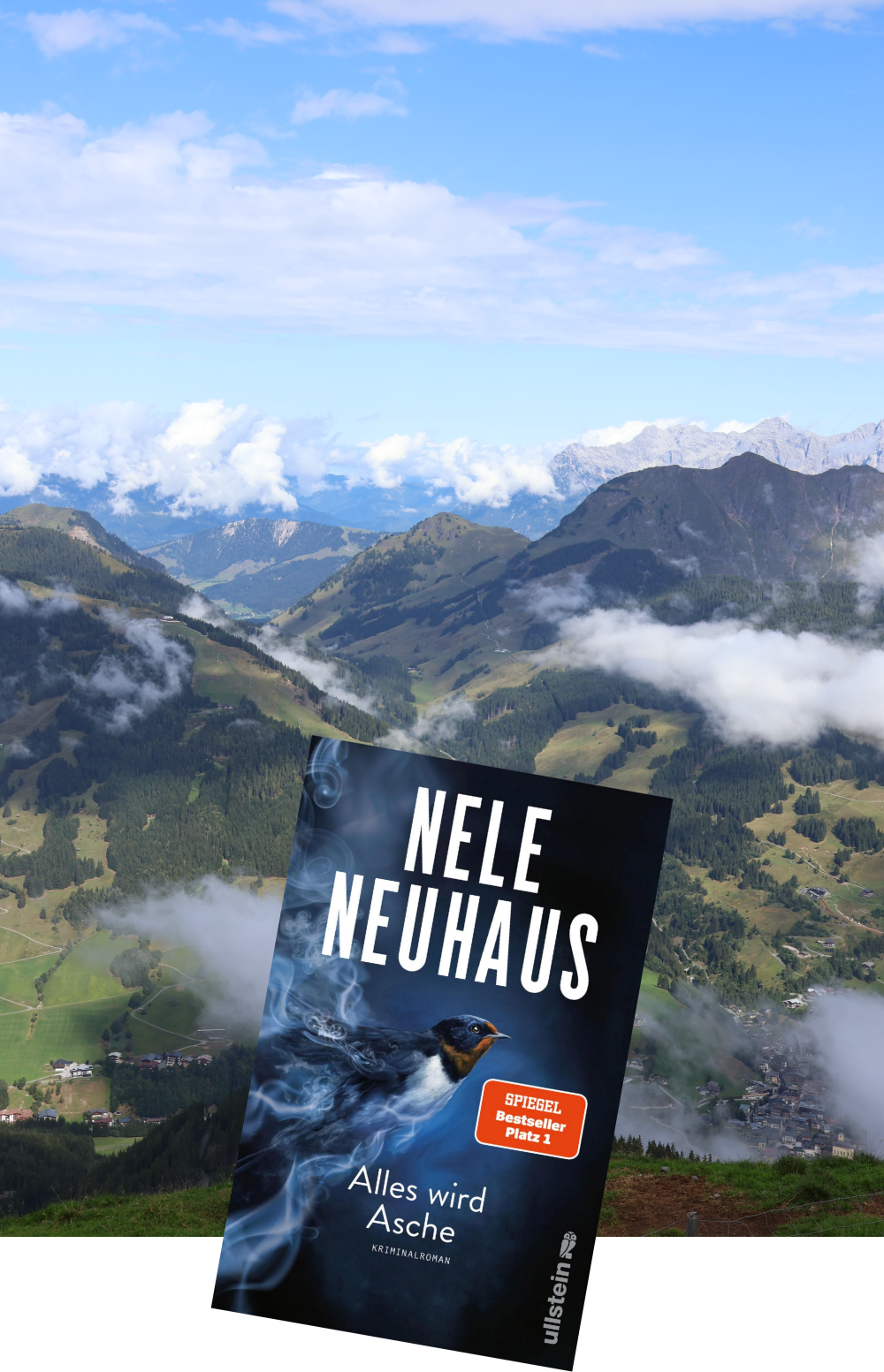 Alles wird Asche_Taunus Krimi_Nele Neuhaus_Rezension