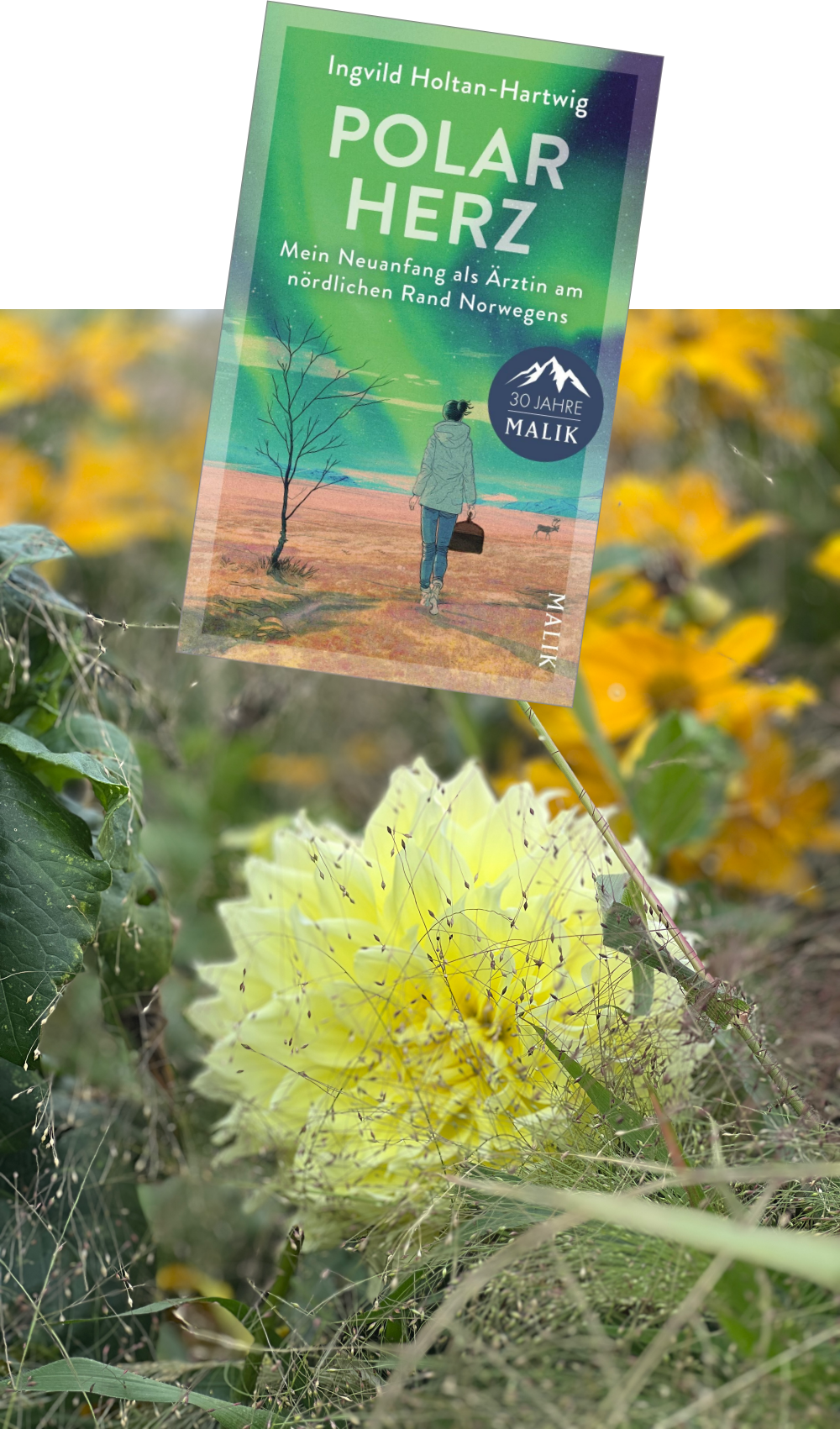Polarherz_Ingvild Holtan-Hartwig_Rezension